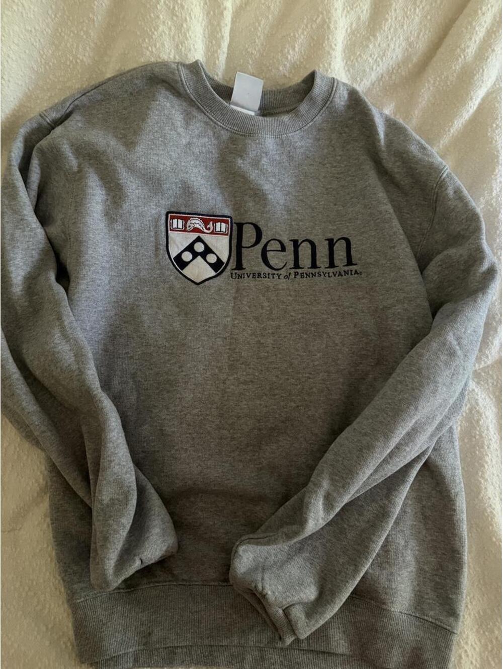 Champion Grey Sweatshirt